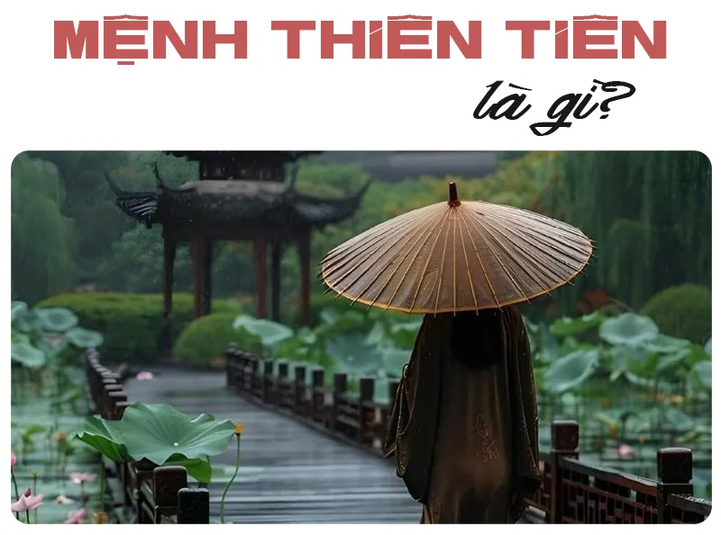 Menh Thien Tien la gi