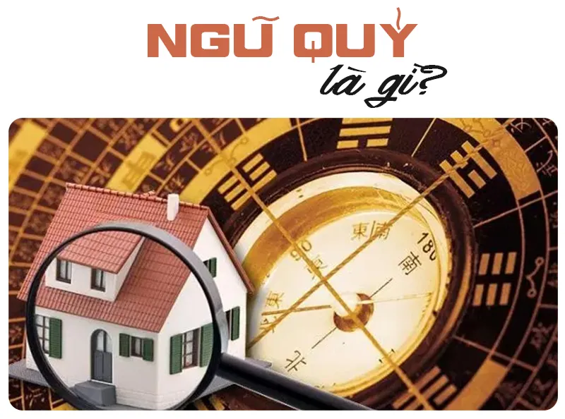 Ngu Quy La Gi
