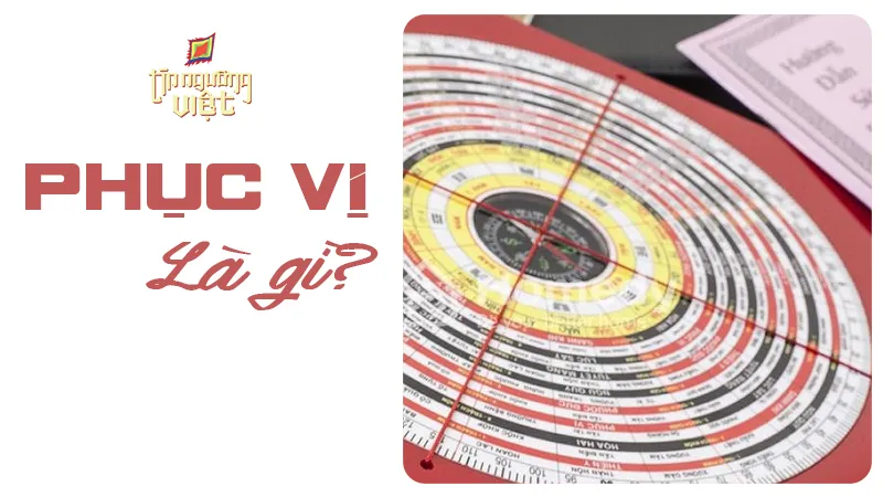 Phuc vi la gi
